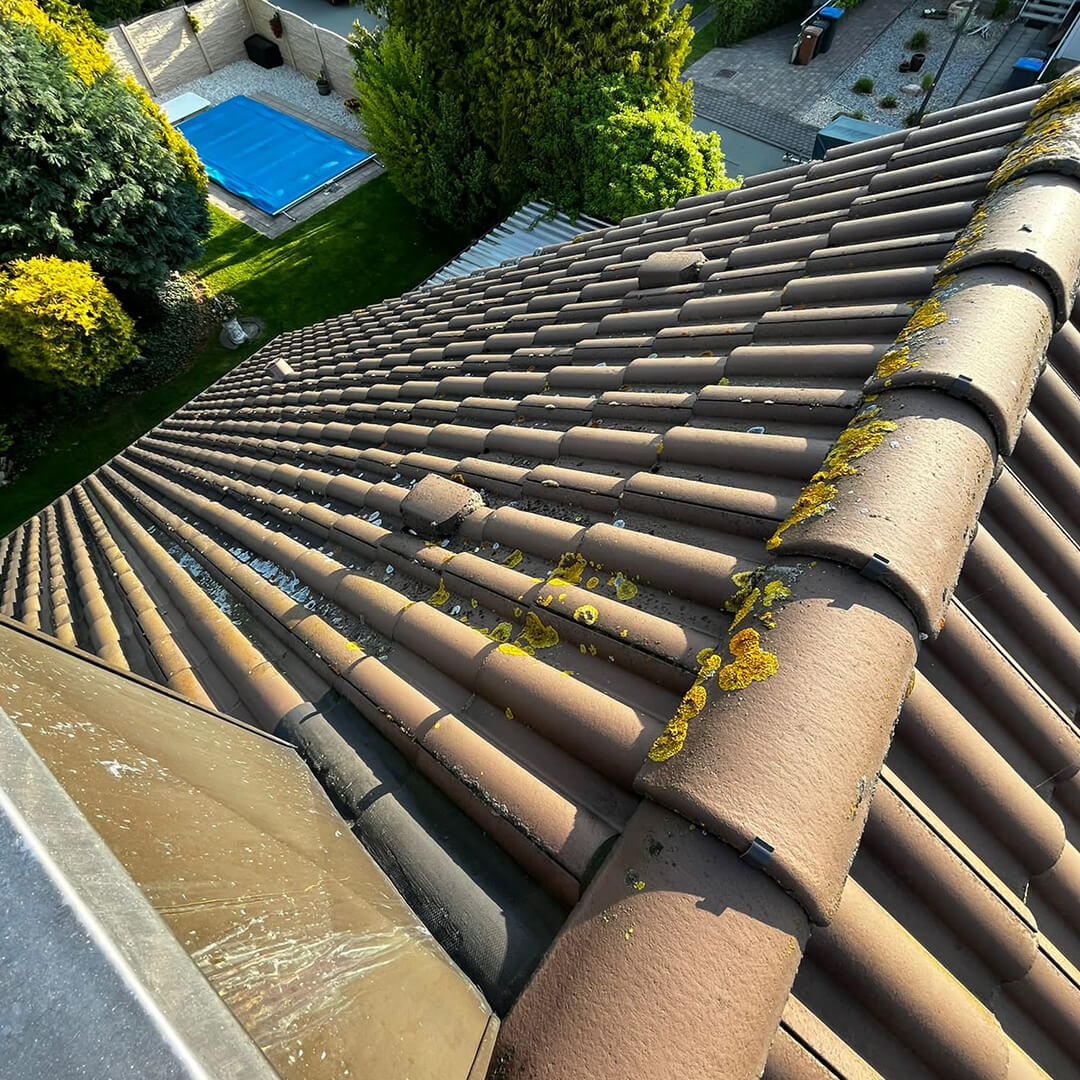 Dach streichen lassen