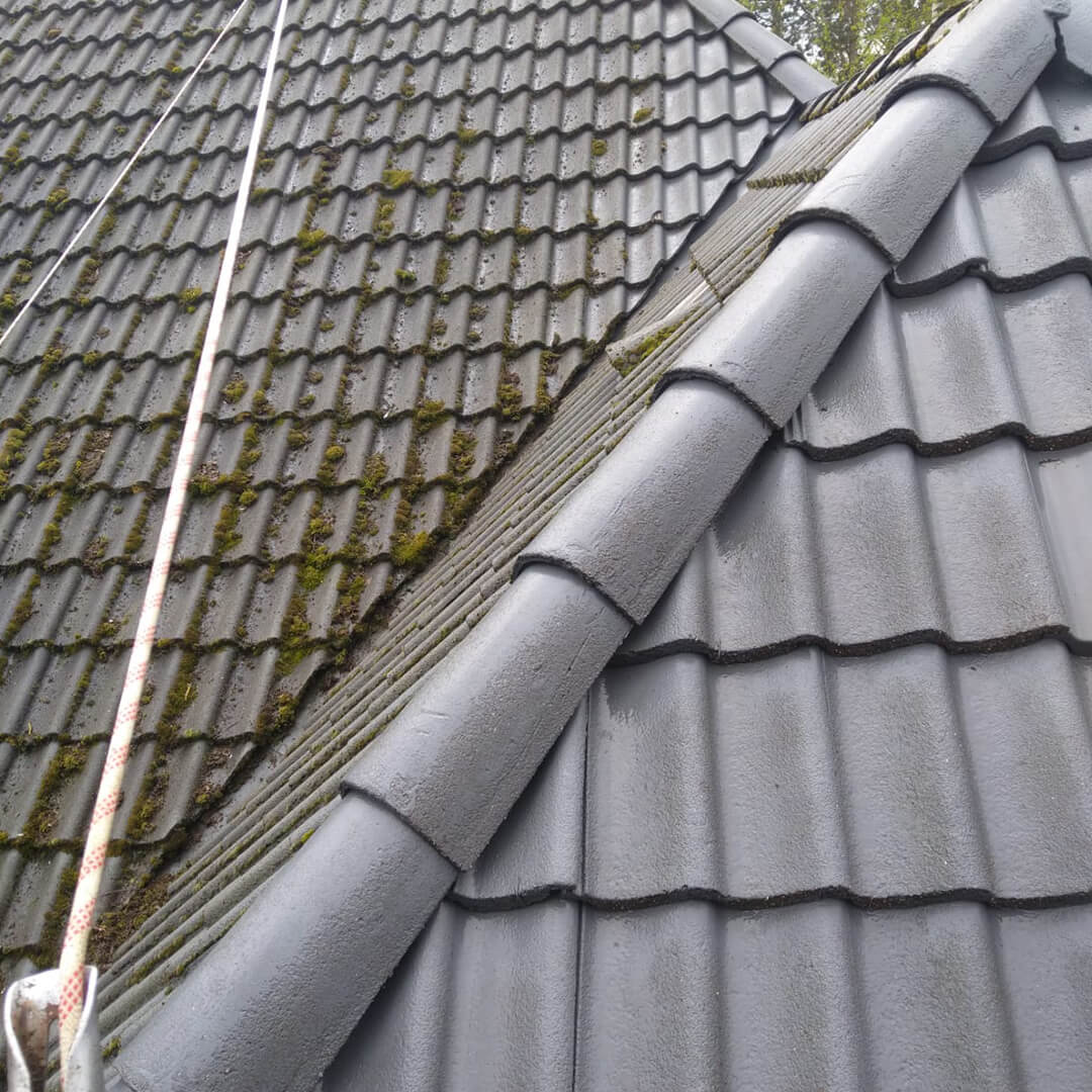 Dach in Hamburg reinigen lassen
