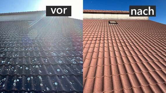 dachreinigung vorher nachher