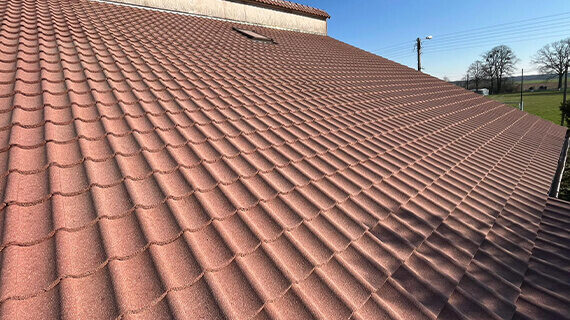 Reinigung von Dachziegeln durch Renoskam in Gościeszowice