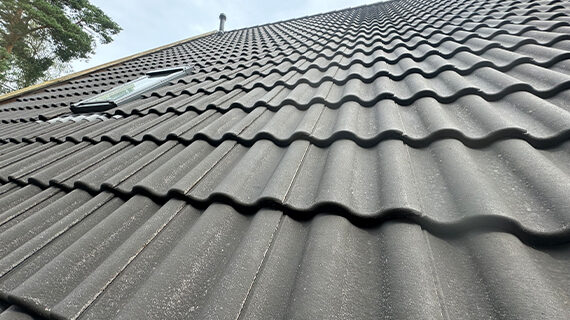 Blätterentfernung von dächern