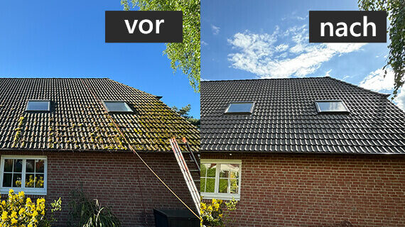 Dachreinigung Moos Entfernung vorher nachher