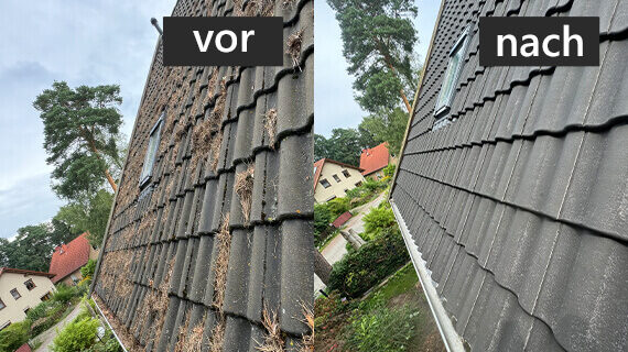 Dachrinnenreinigung und Dachreinigung vorher nachher Effekte