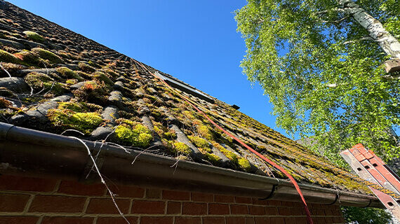 Moosentfernung vom Dach