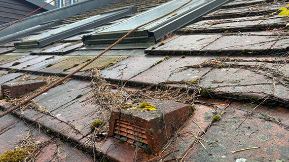 Dachreinigung und -imprägnierung Berlin vorcher nachher