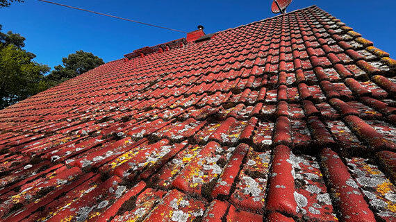 Dachreinigung vorher nachher