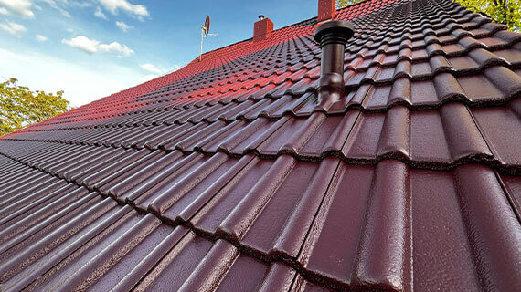 Dachreinigung vorher nachher