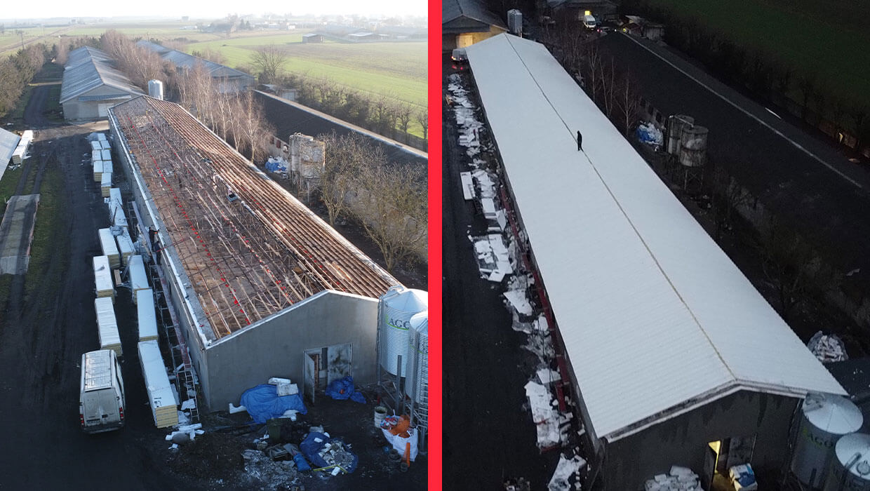 Dachsanierung im Hühnerstall in Wollstein