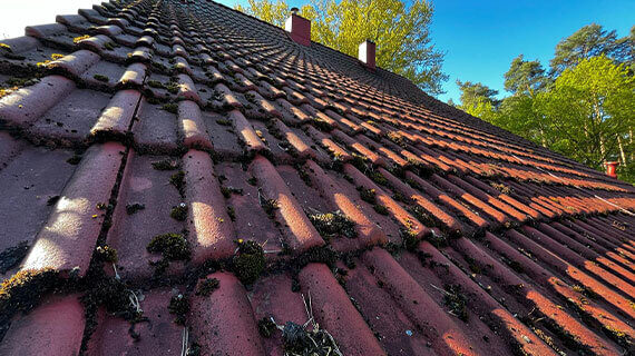 Dachziegel vor der Reinigung