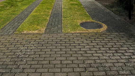 Pflastersteine zur Reinigung