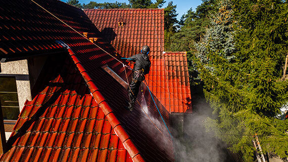 Professionelle Dachreinigung in Grünberg