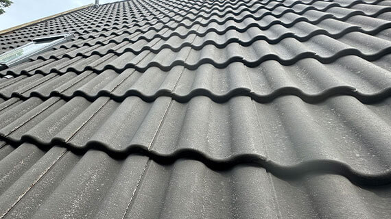 Dachschutz vorcher nachher