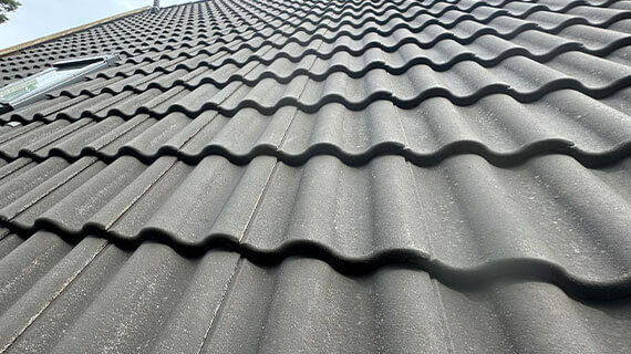 Renoskam in Berlin – Dachimprägnierung