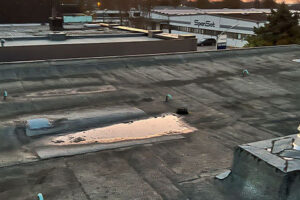 ersetzen-alter-dachpappe ersetzen-alter-dachpappe