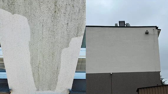 Reinigung und Anstrich der Gebäudefassade in Iłowa