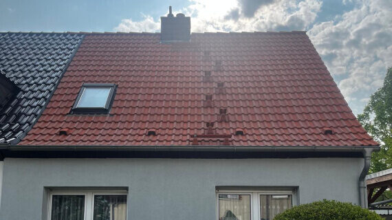 Dachreinigung und -imprägnierung in Schraplau vorher nachher