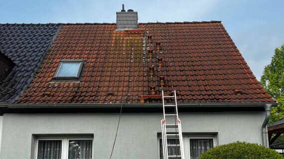 Dachreinigung und -imprägnierung in Schraplau vorher nachher