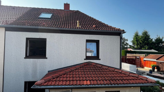 Dachreinigung und -anstrich in Zwickau - vorcher