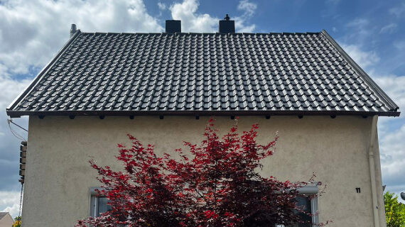 Dachreinigung und -anstrich Frankenthal vorher nachher