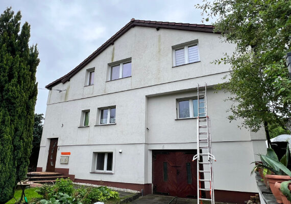 Reinigung und Schimmelentfernung der Fassade Krosno Odrzańskie 