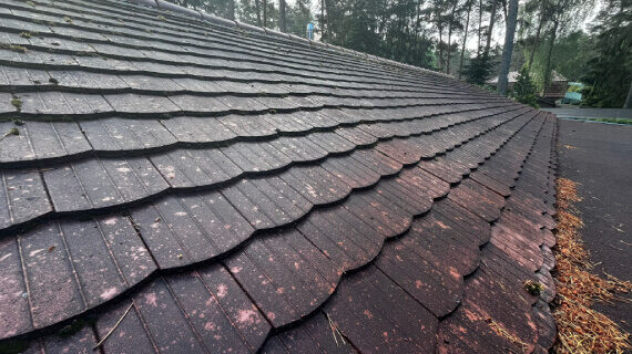 Dachreinigung und Imprägnierung in Fichtenwalde
