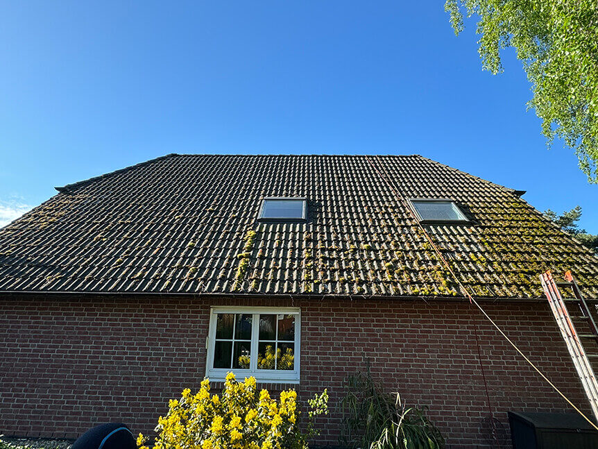 EFFEKTE DER DACHREINIGUNG IN BERLIN