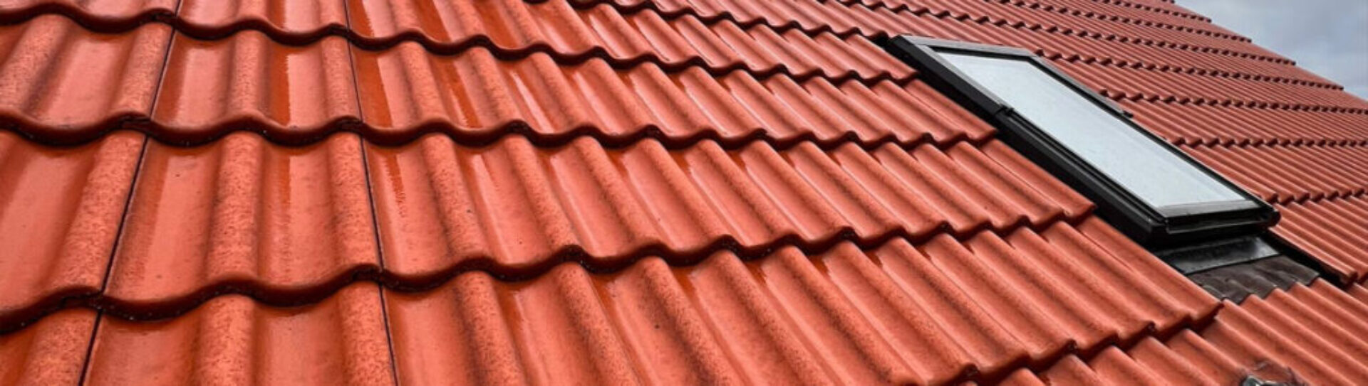 Dachreinigung Cottbus