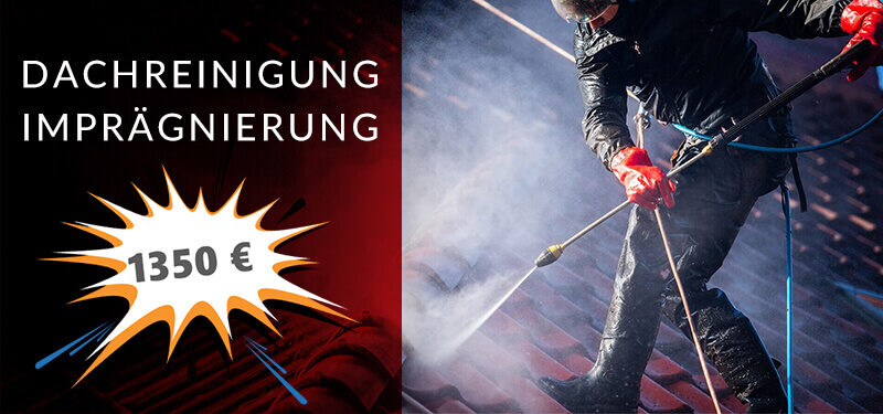 dachreinigung angebot