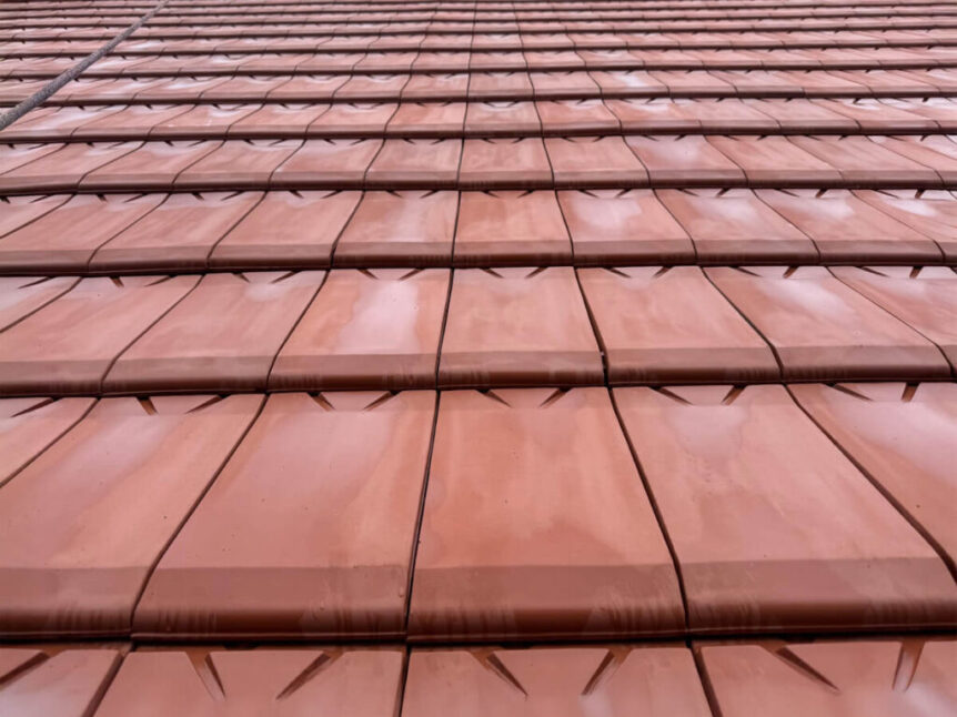 Dach reinigen in Leipzig