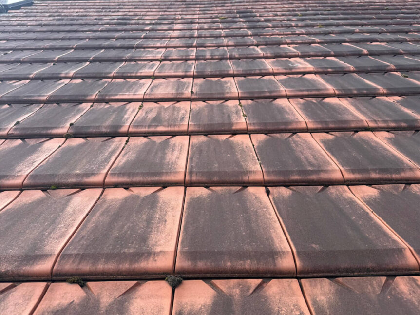 Dach reinigen in Leipzig