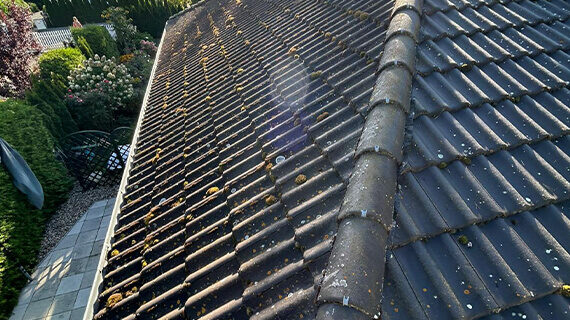 Dachanstrich in Magdeburg