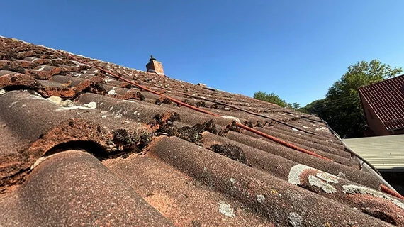 Dachreinigung in Dessau-Roßlau vorcher nachher