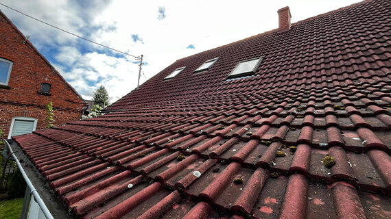 Dachanstrich in Bojadła