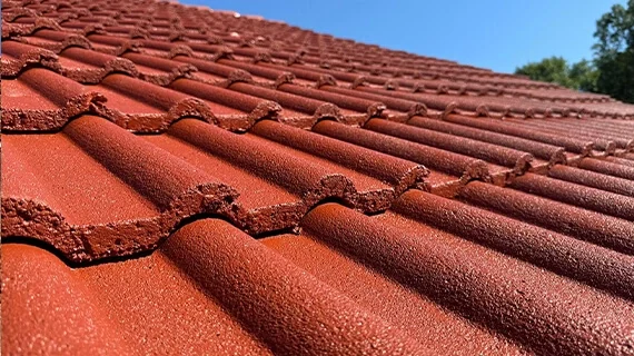 Dachreinigung in Dessau-Roßlau vorcher nachher