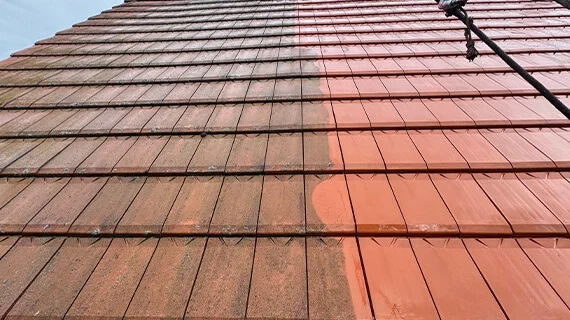 Dachreinigung durch Renoskam in Neuhardenberg Dachreinigung durch Renoskam in Neuhardenberg