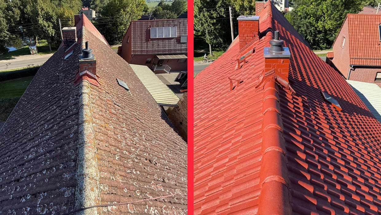 Dachreinigung und Dachanstrich Dessau-Roßlau