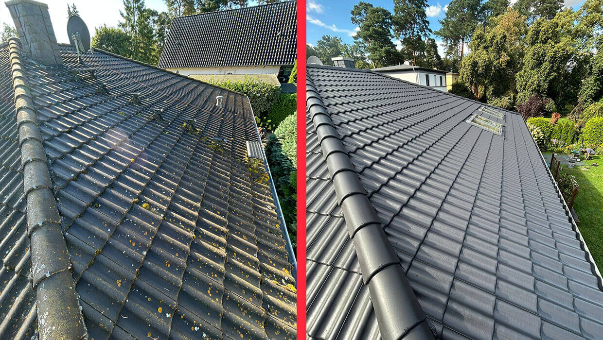 Dachreinigung und Dachbeschichtung in Magdeburg