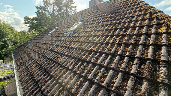 Dachanstrich - Windeby