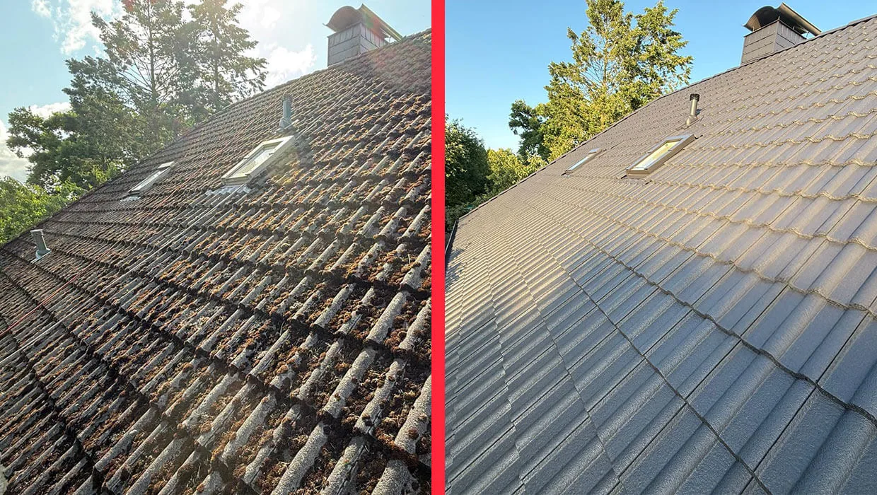 Dachreinigung und -anstrich in Windeby