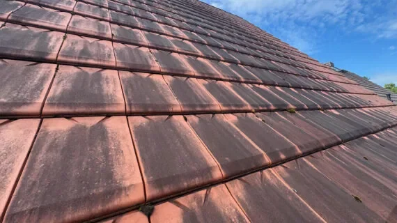 Dachreinigung und -imprägnierung in Neuhardenberg vorcher nachher