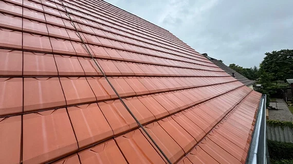 Nach der Dachreinigung und Imprägnierung durch Renoskam in Neuhardenberg Nach der Dachreinigung und Imprägnierung durch Renoskam in Neuhardenberg