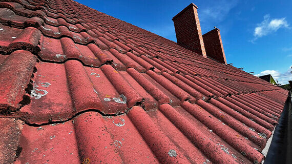 Gestrichenes Dach in Bojadła