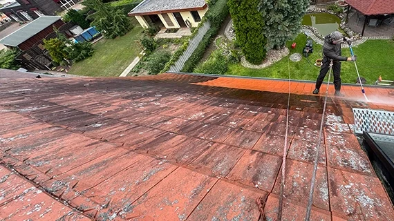 Dachreinigung Neuhardenberg vorcher nachher