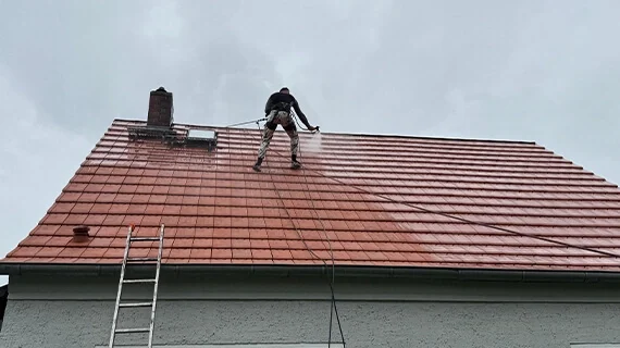 Während der Dachwäsche durch Renoskam in Neuhardenberg