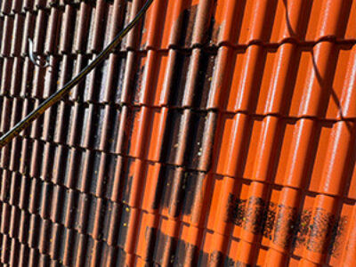 Vorbereitung und Reinigung Leipzig