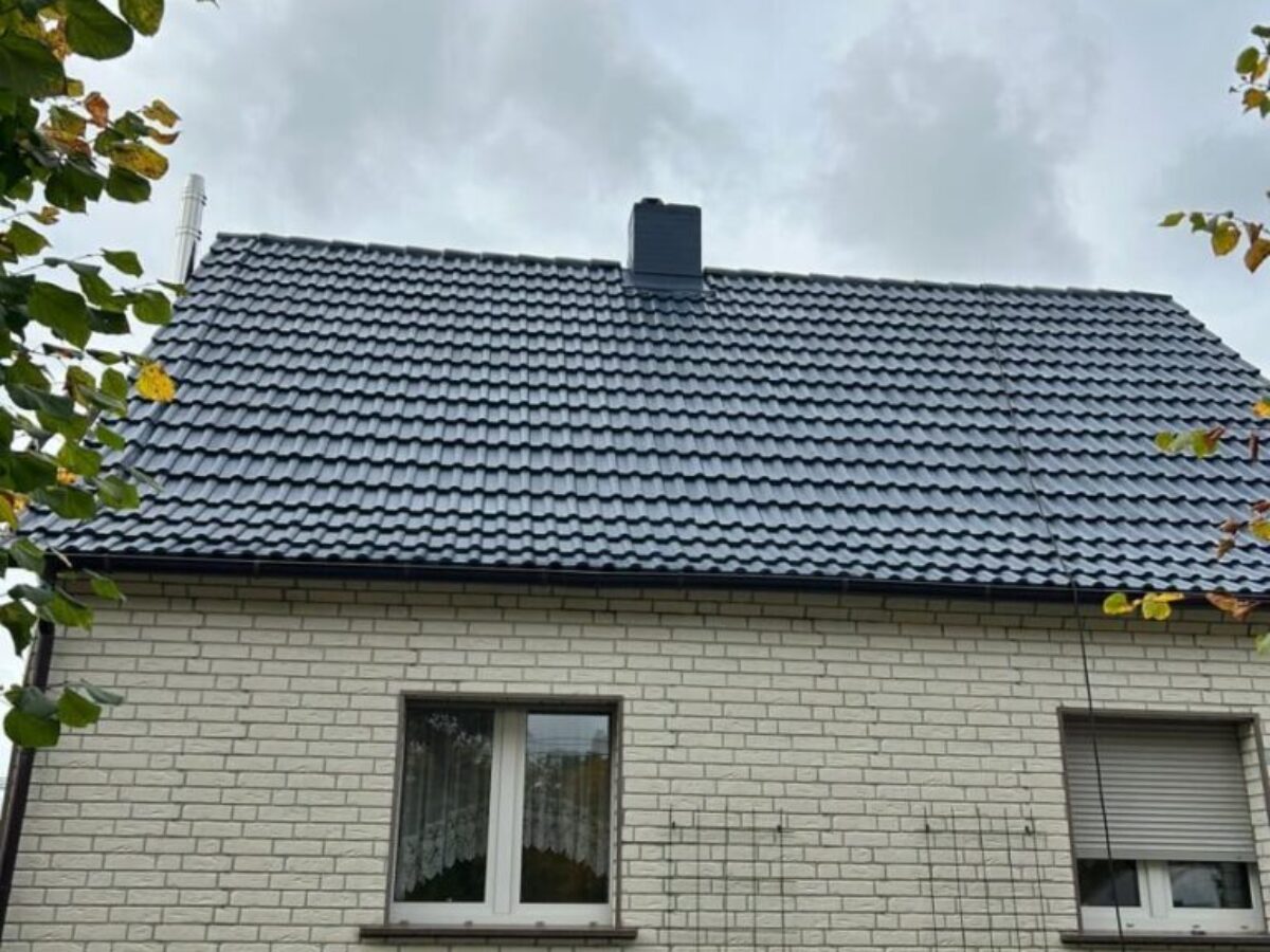 Dachreinigung und Dachbeschichtung - Luchhmee - nachher