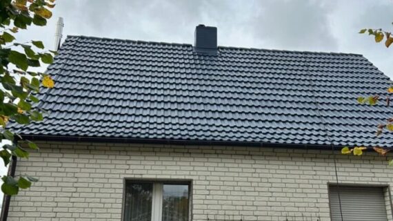 Dachreinigung und Dachbeschichtung in Luchhmee - nachher