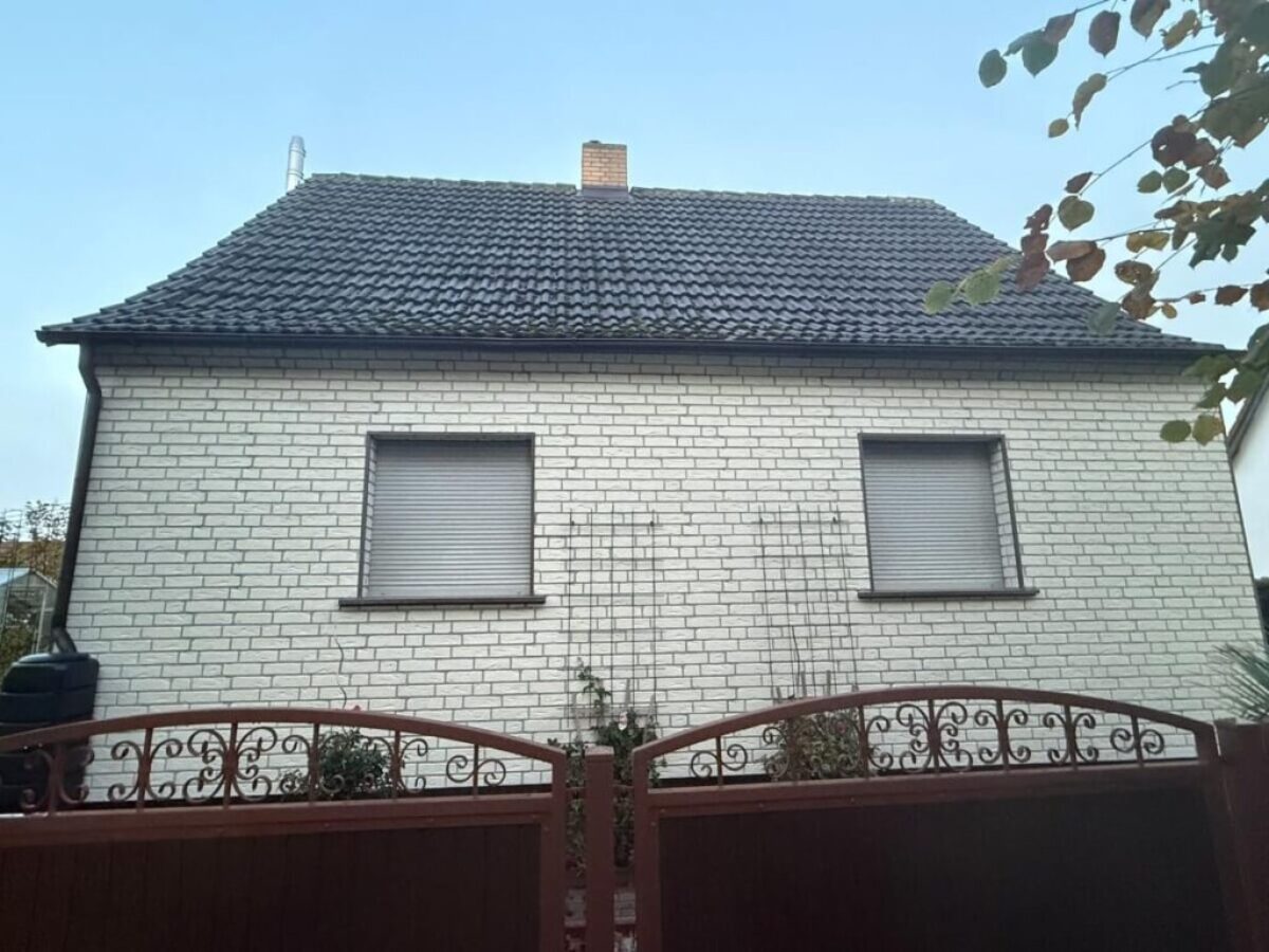 Dachreinigung und Dachbeschichtung - Luchhmee - vorher