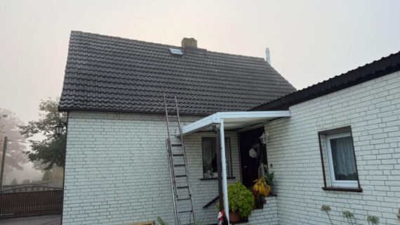 Dachreinigung und Dachbeschichtung - Luchhmee - vorher