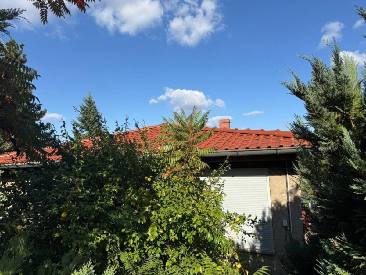 Nach der Dachreinigung - Sömnitzer Ring, Jahnatal Nach der Dachreinigung - Sömnitzer Ring, Jahnatal